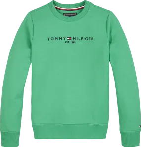 Boys 8-16 Essential Crew Neck Sweatshirt | Sweatshirts & Hoodies | Tommy Hilfiger