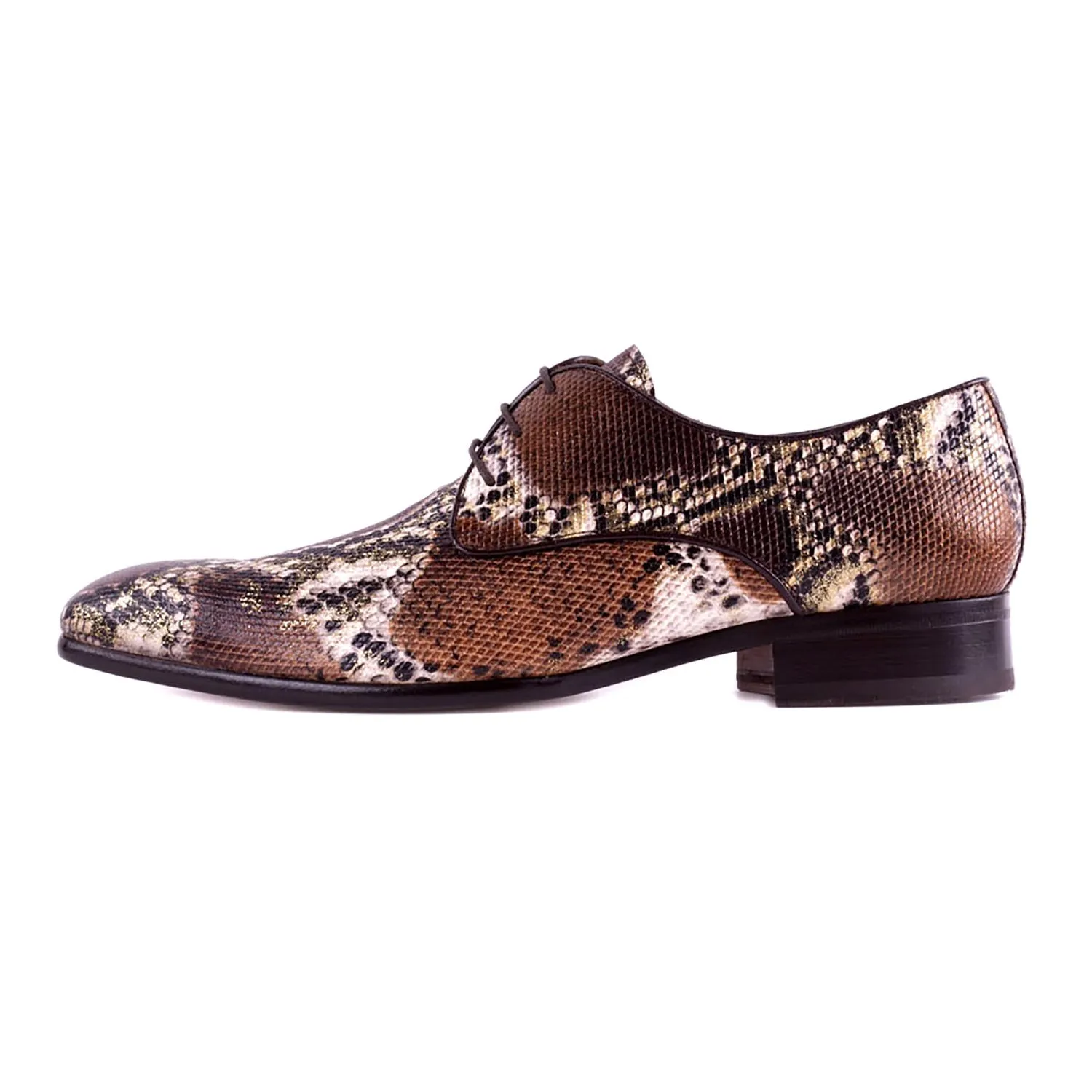 Mister Satar Men's Shoes Snake Print Leather Derby Oxfords (MIS1163)